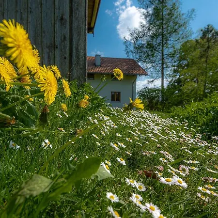 Holiday home Schlierachtal